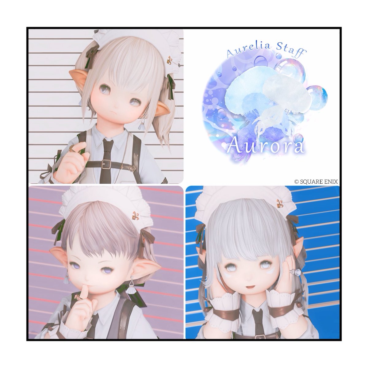 くらげ🪼 tweet media