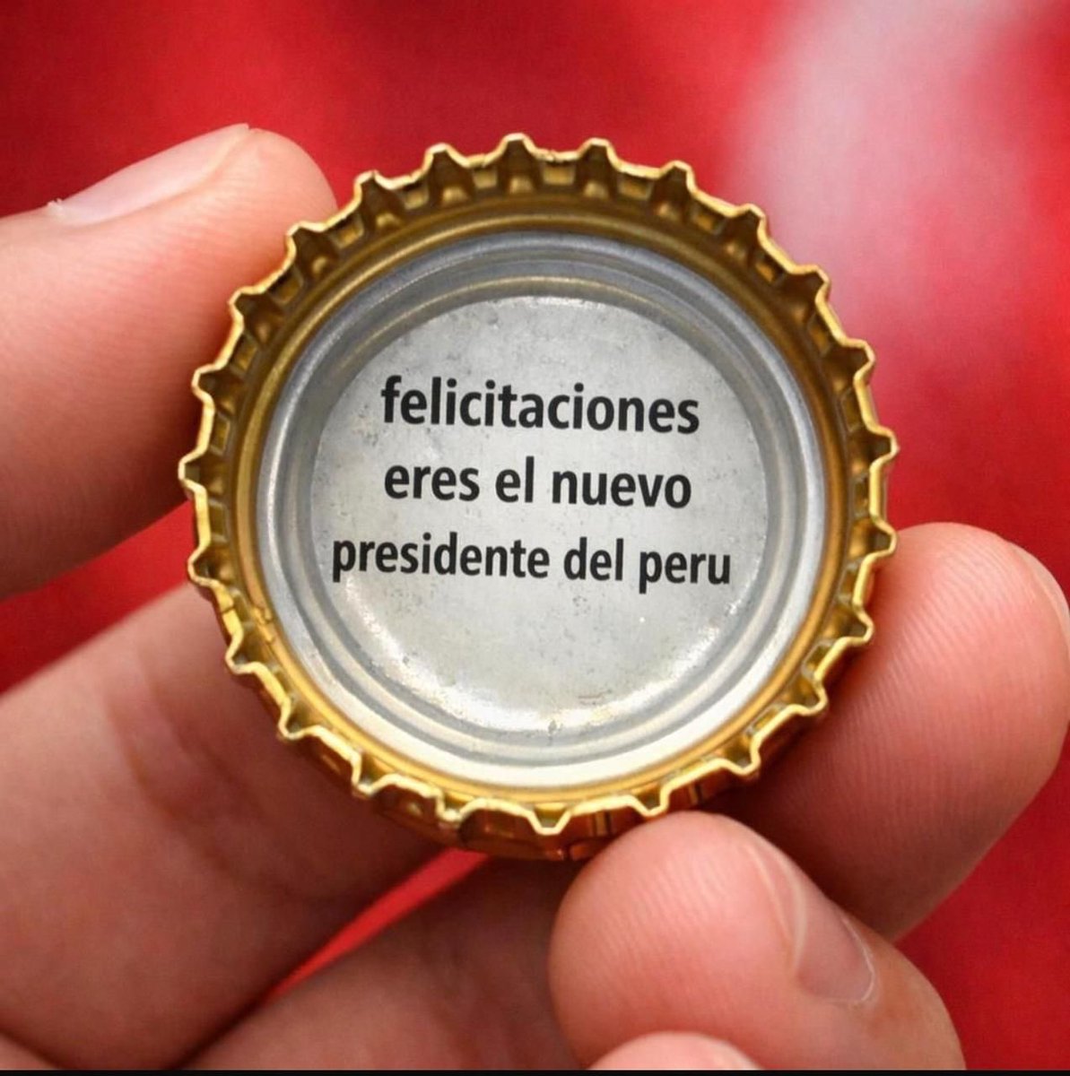 Miguel Alex tweet media