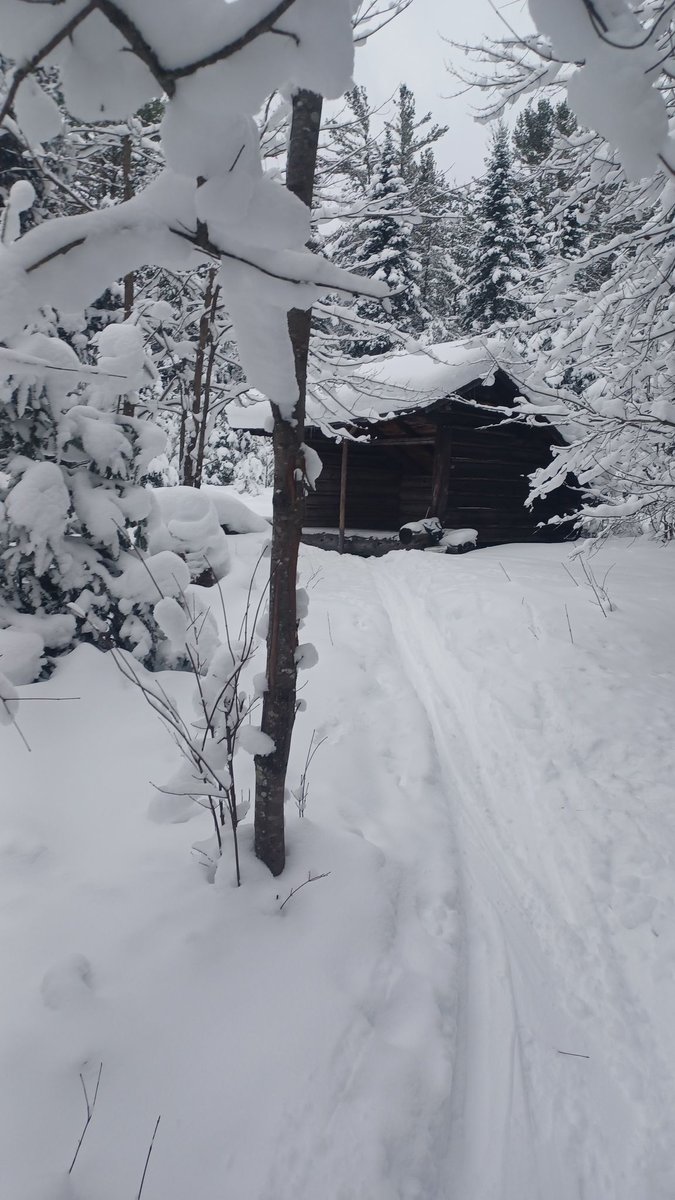 𝙷𝚒𝚌𝚔𝚖𝚊𝚗 tweet media