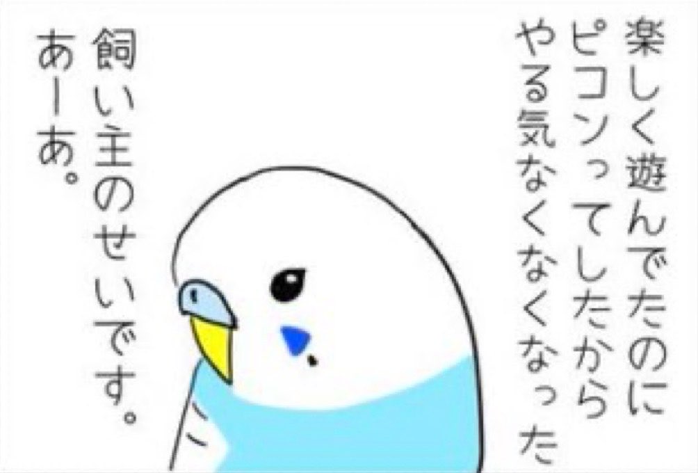 クピリンコ tweet media