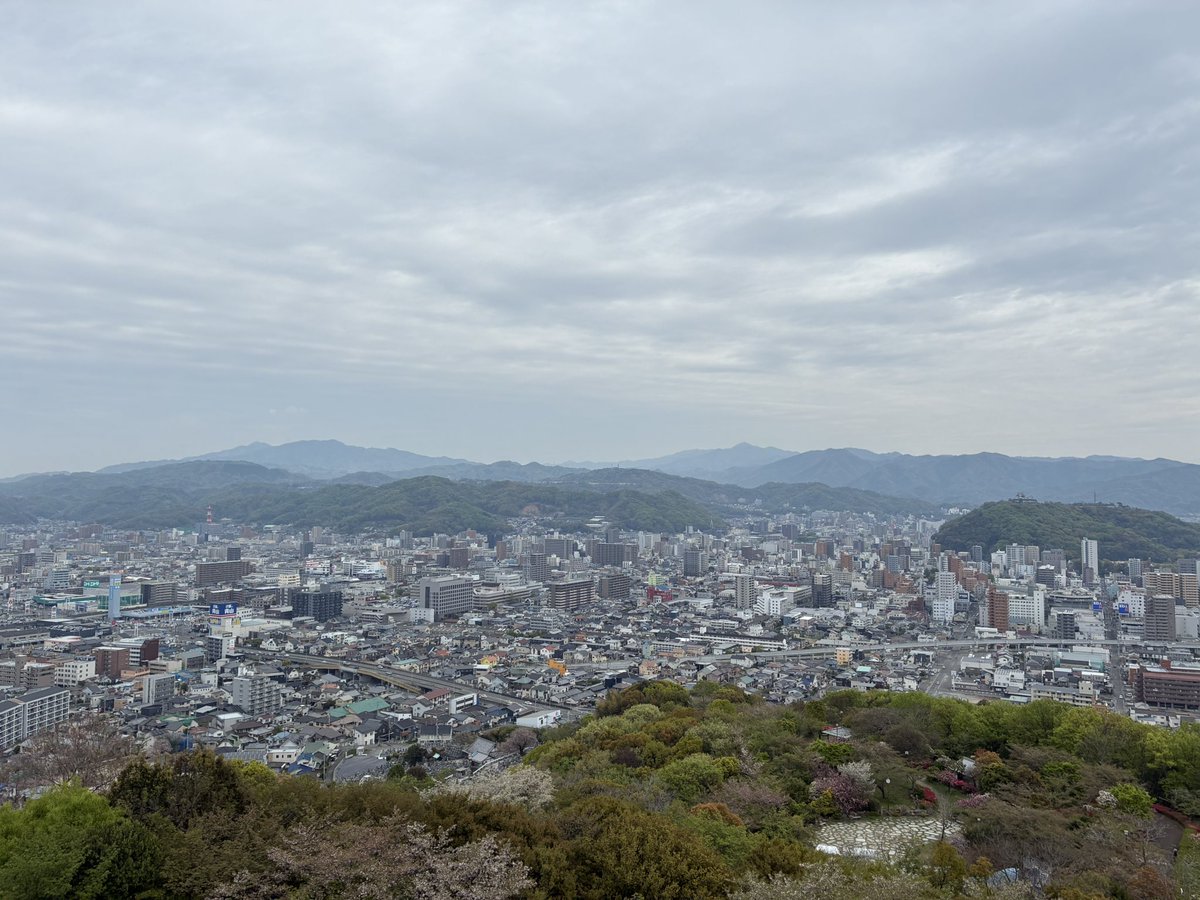 bbboor1's tweet photo. 需要不明だけどレポ✏️

★空港⇒松山駅（バス20分くらい）

★松山駅⇒松山総合公園
行きはタクシー（￥1400）帰りは駅まで徒歩30分くらい🫨第2駐車場から約150mの坂道を登る🚶‍♀️軽い登山なので歩きやすい靴必須！虫多過ぎて滅

★松山駅⇒大街道駅
路面電車で15分くらい！ホテルやカフェから回せる！ https://t.co/EGChHljEmR