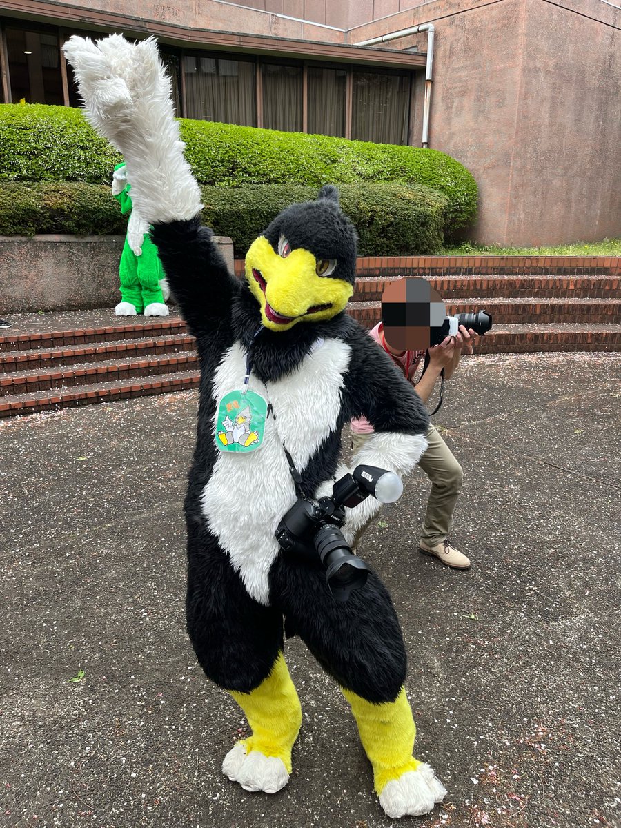 KiCait(キーケット) tweet media