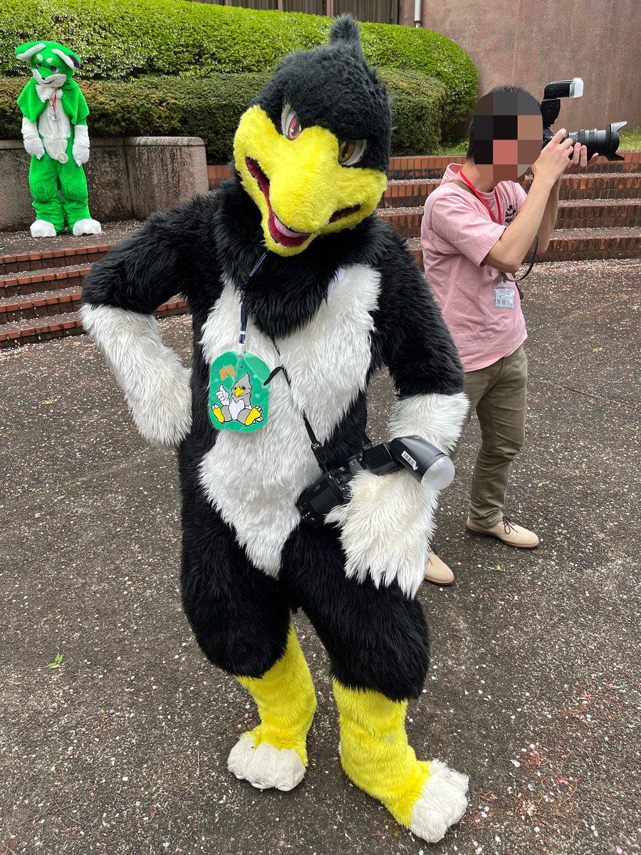 KiCait(キーケット) tweet media