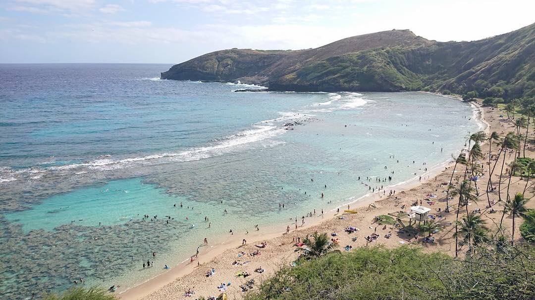 ayanomizuki tweet media