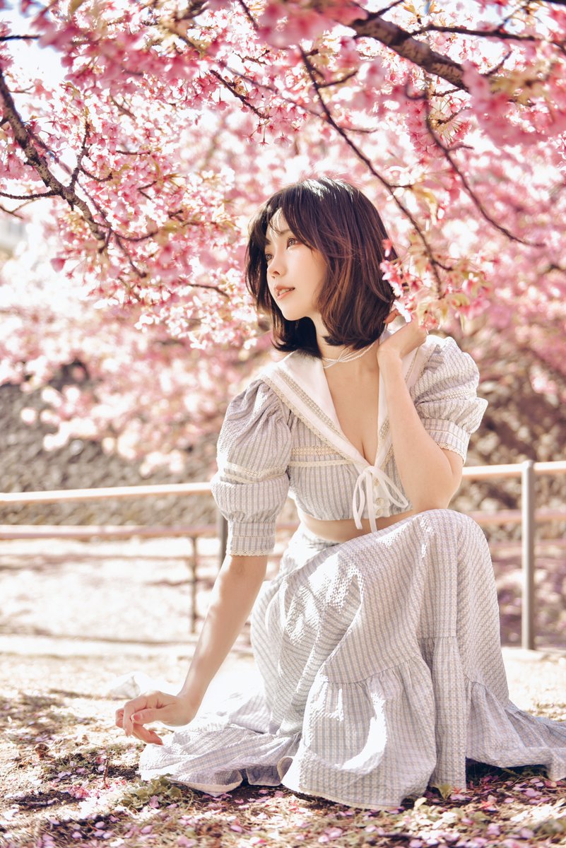 桜🌸