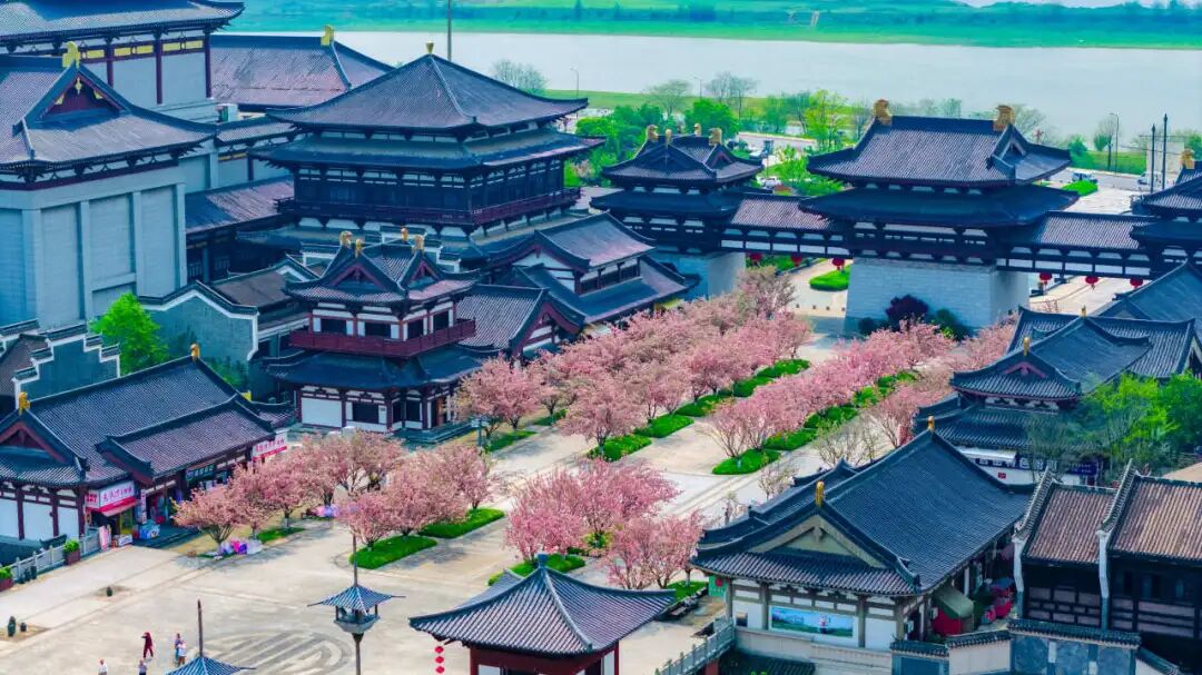 HelloChangsha's tweet image. Recently, Tongguan Kiln Cultural Amusement Park has staged a romantic #cherry blossom feast. Nearly 100 cherry trees are in full bloom, forming a 240-meter "Cherry Blossom Avenue". #Changsha  icswb.com/h/105705/20260…🌸🌸