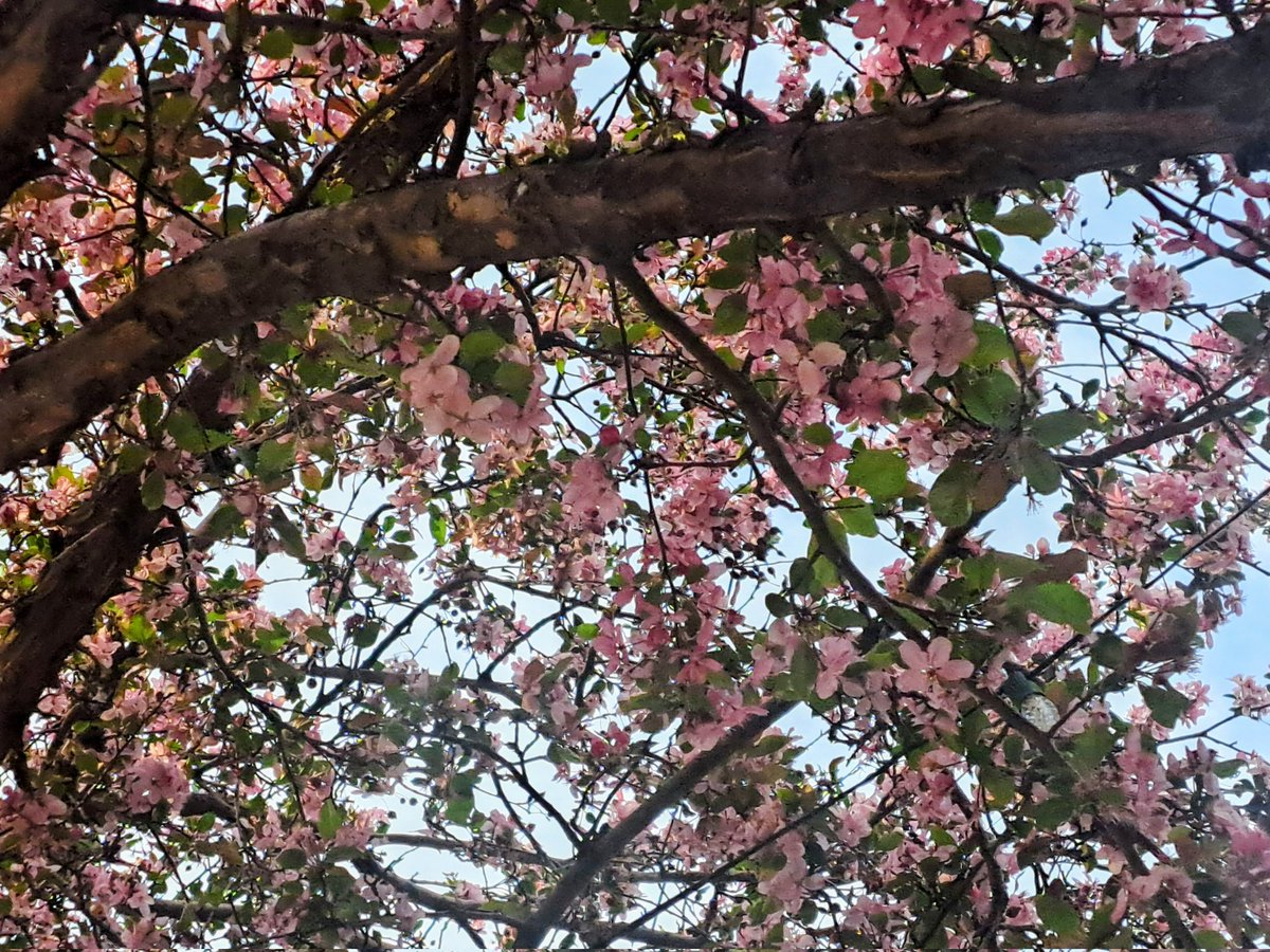 酸塊ﾅﾂﾒ tweet media