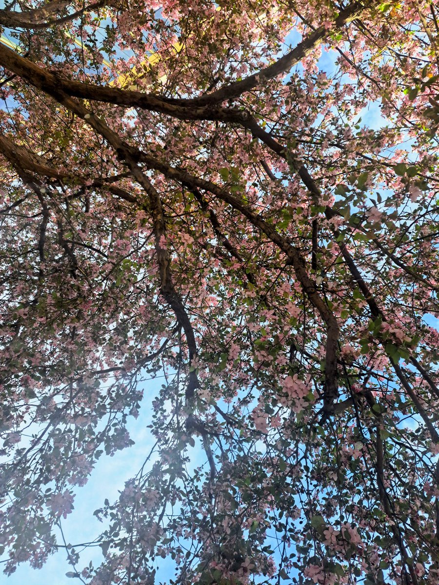 酸塊ﾅﾂﾒ tweet media