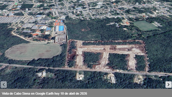 DirectordeMegamedia tweet media