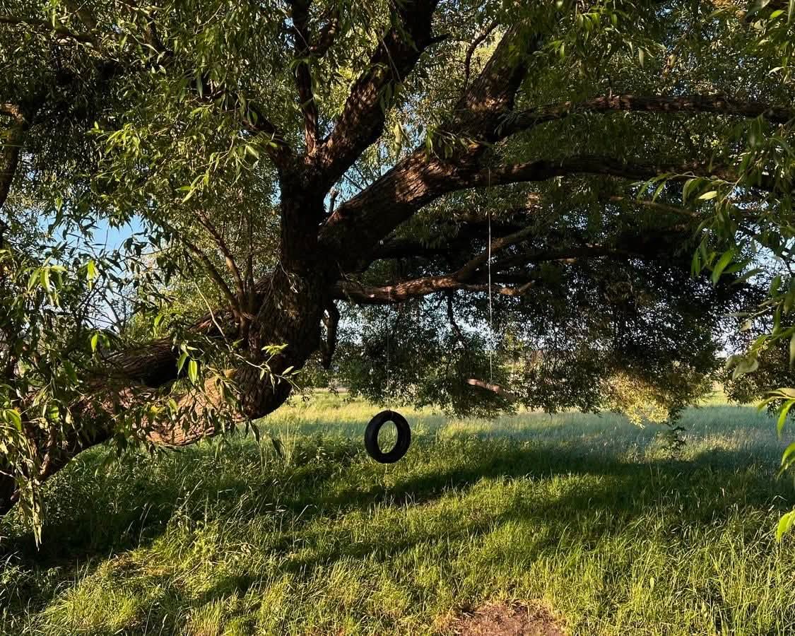 𝓜𝓸𝓸𝓷 tweet media