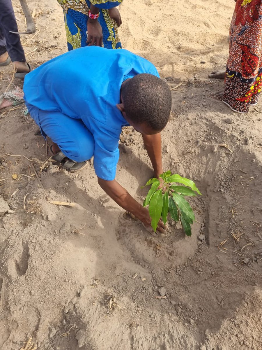 Buildawell_wtnf's tweet image. #PlantAtree