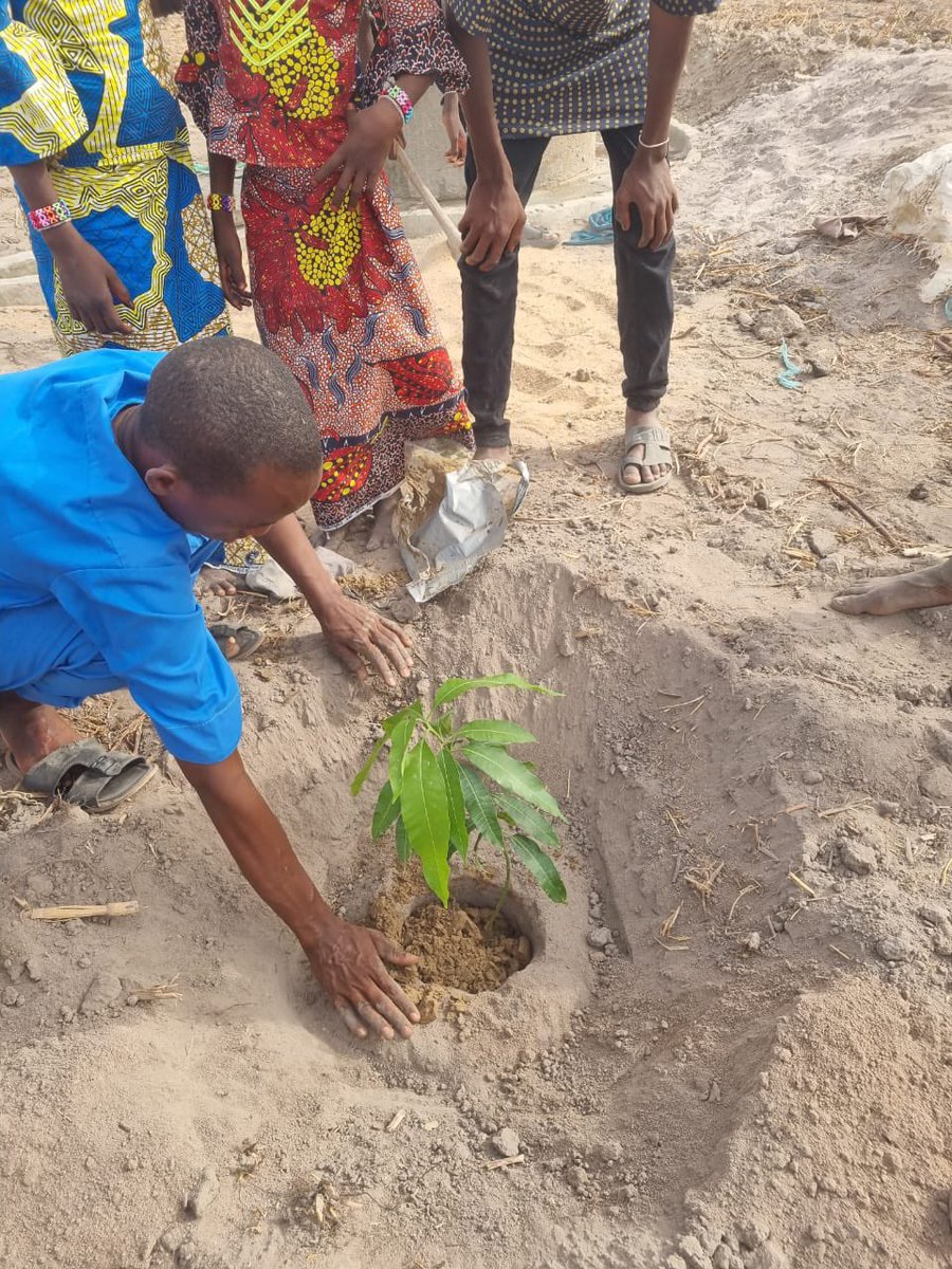 Buildawell_wtnf's tweet image. #PlantAtree