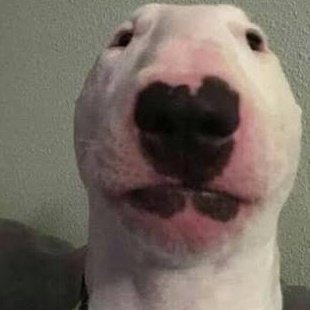 Marcelo B. Nika tweet media