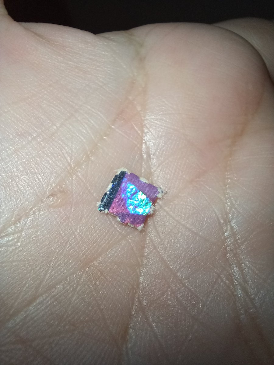 Vani 🖤 tweet media