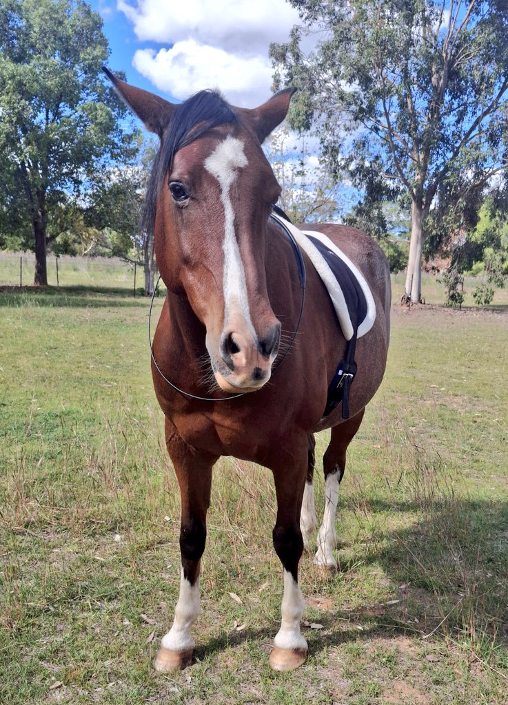 Kitty • Another Dimension tweet media