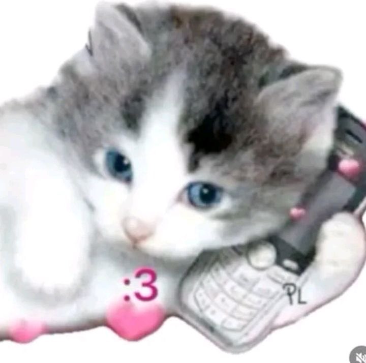 ANDYOUKNOW ⭐️🌊 tweet media