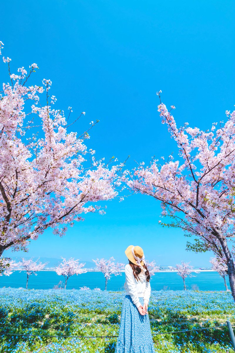 🎁#チケットプレゼント🎁
大阪まいしまシーサイドパーク「ネモフィラ祭り 2026」のチケットを5組10名様にプレゼント🎉

心地よい潮風を感じながら、広大な敷地に咲くネモフィラを楽しめる春のイベント💙
丘一面に広がるネモフィラと、大阪湾の海、青空が織りなす景色が魅力です✨

⏬応募方法⏬