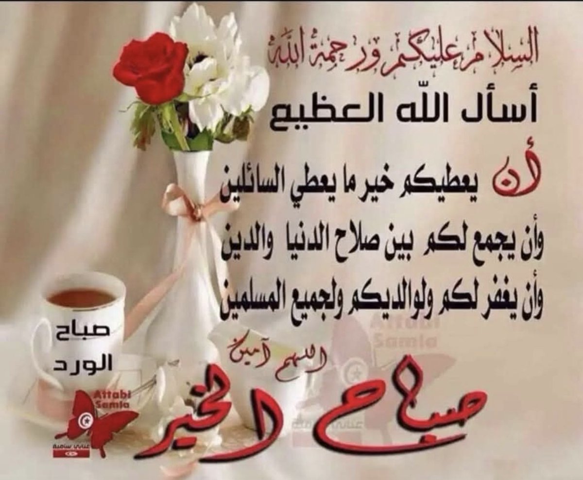 أبو معتز الابراهيم tweet media