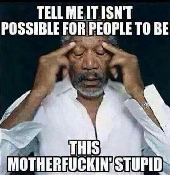 David M Delia tweet media