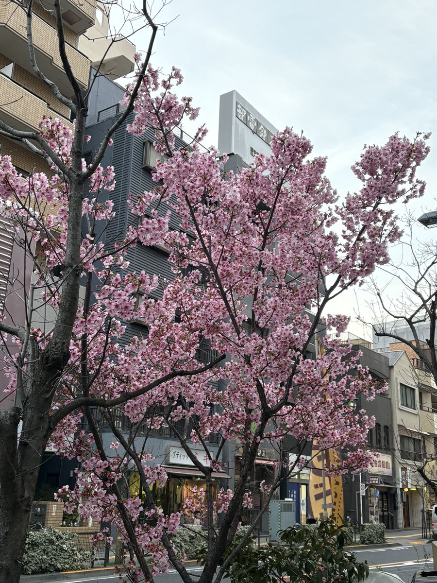 竜駆郎 tweet media