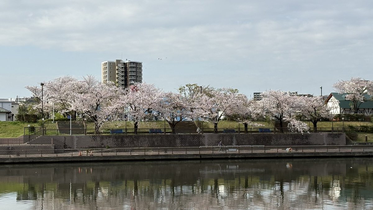 竜駆郎 tweet media