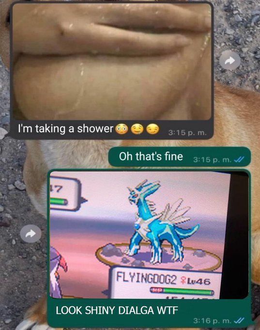 Wild Text Messages tweet media
