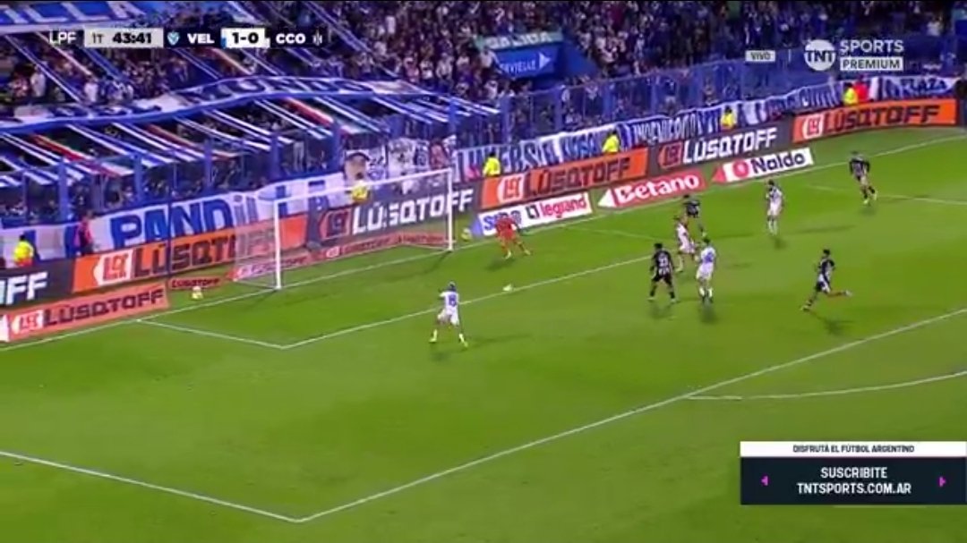 Soldado de Pellegrino (@pellegrinismo94) on Twitter photo 