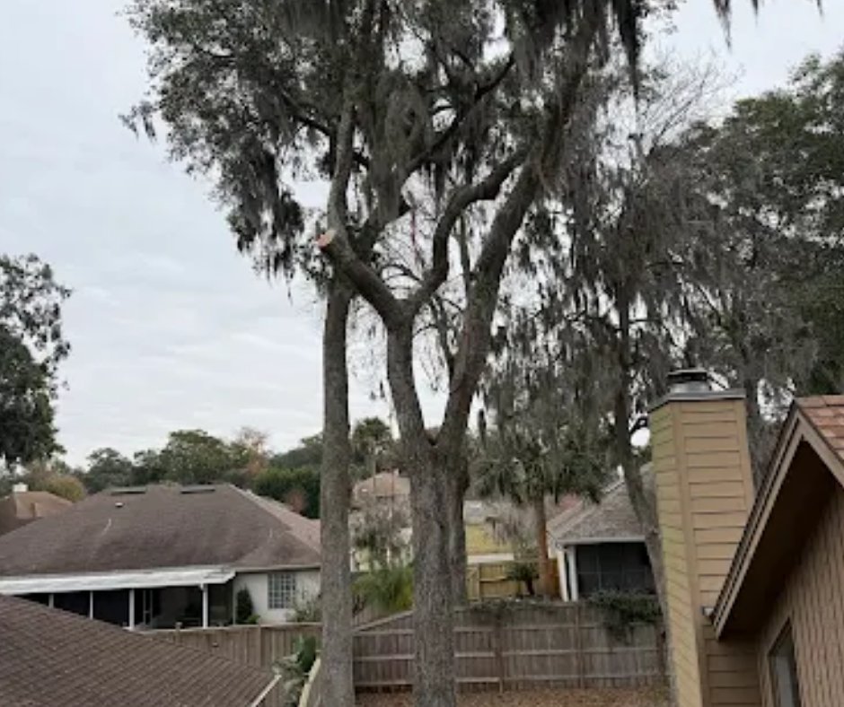 Gateway Tree Service (@TreeGateway) / Posts / X