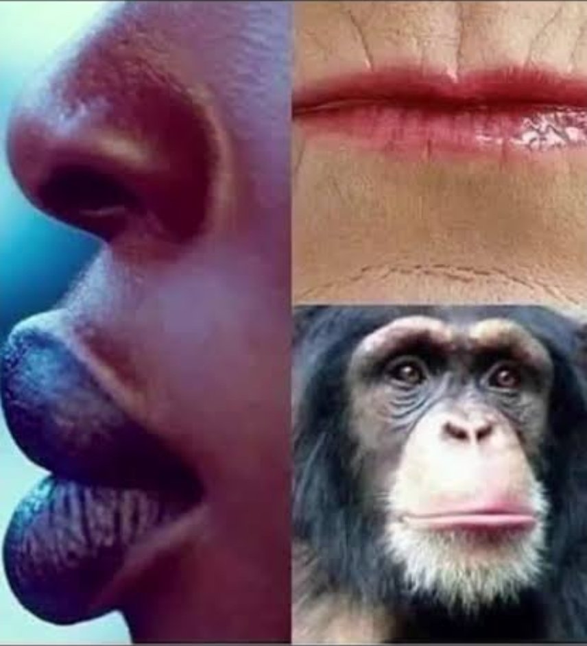 Curtis Benjamin Israel tweet media