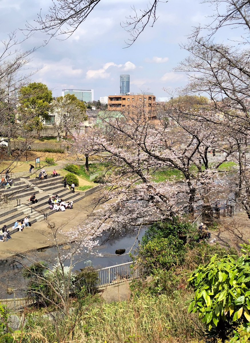 メロンソーダ高場🍈 tweet media