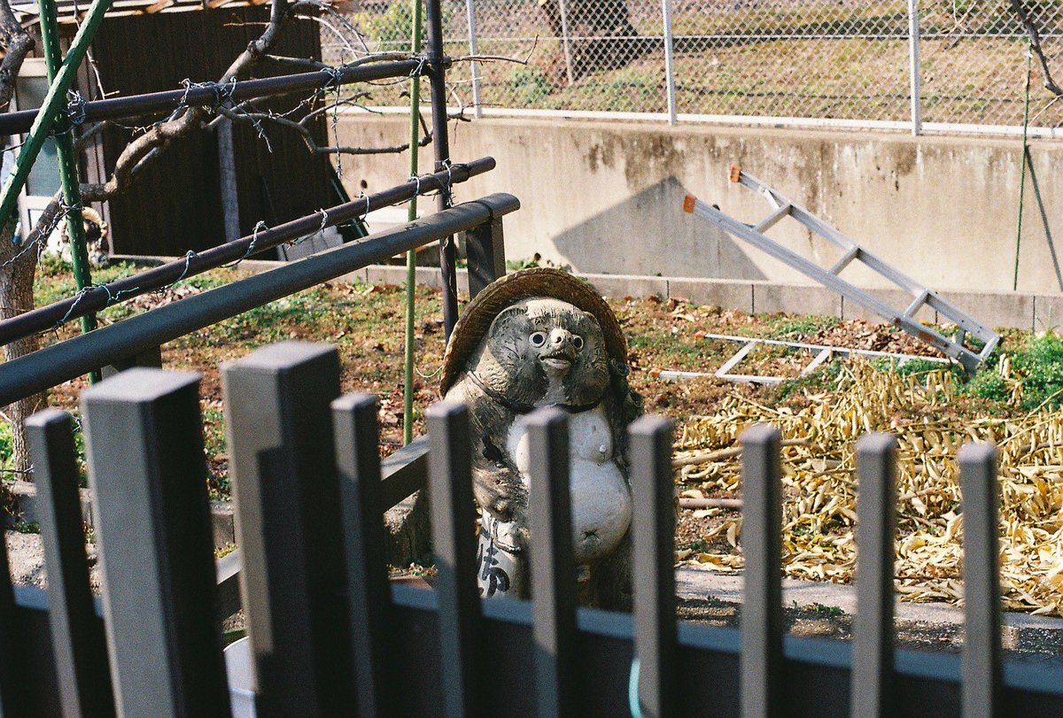 moze (@neomoze) on Twitter photo 