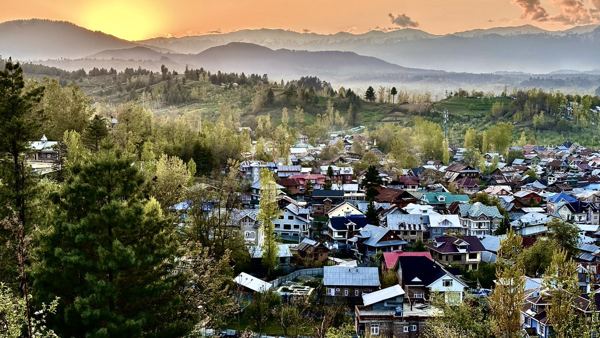 imra9ali's tweet image. SOME NATURE GLIMPSE 

#post #photo #nature #summer #NatureIsMagic