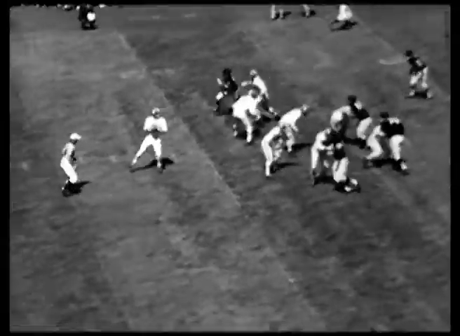 Collectosaurus tweet media