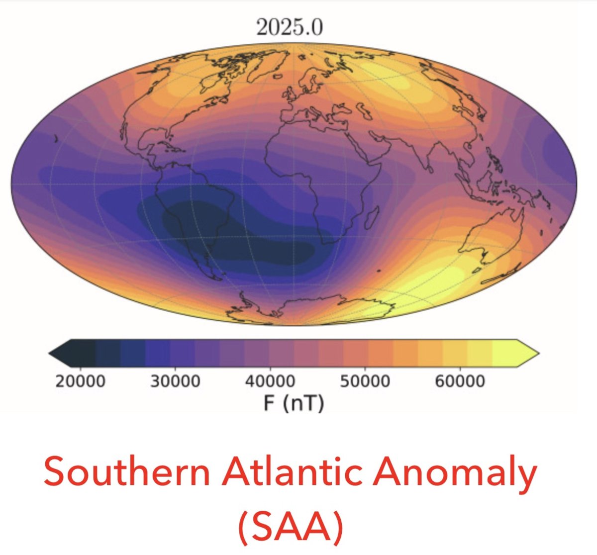 ☣️ Pleb Kruse = BTC foundationalist in exile 🟩🔆 tweet media