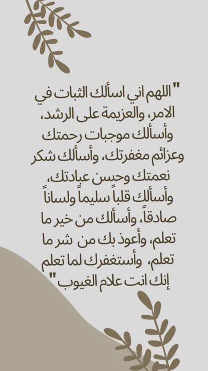 محمد العلي tweet media