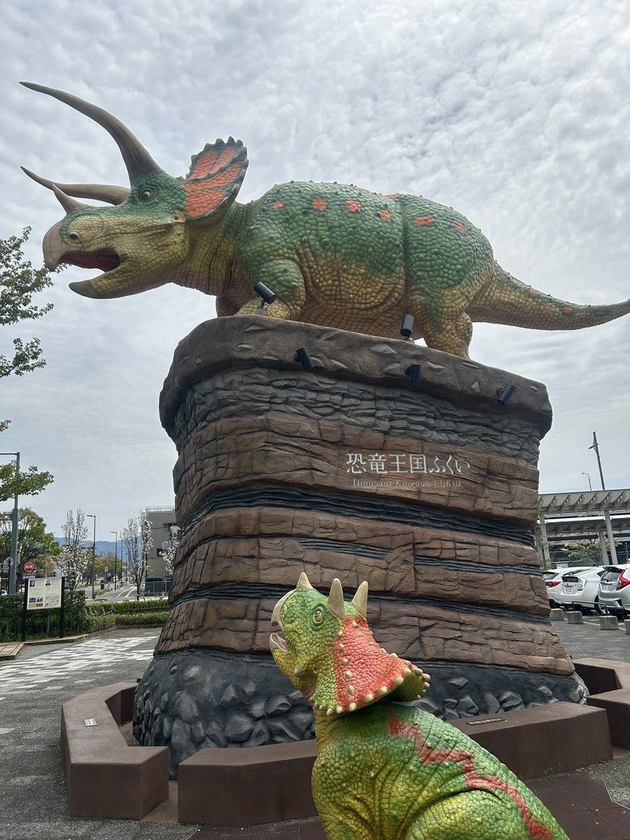 パイジマ tweet media