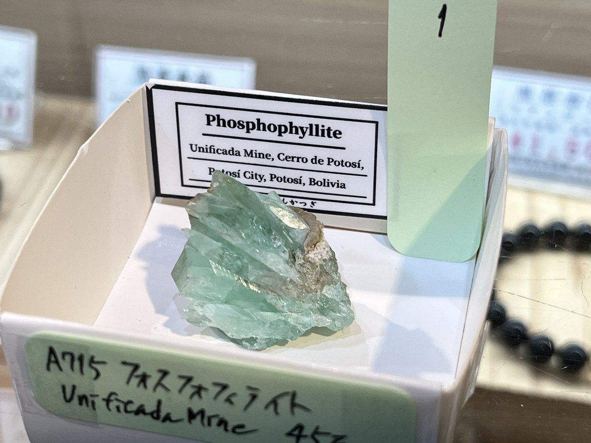 げんかつぎ川崎大師6月【新店長の部屋】 tweet media