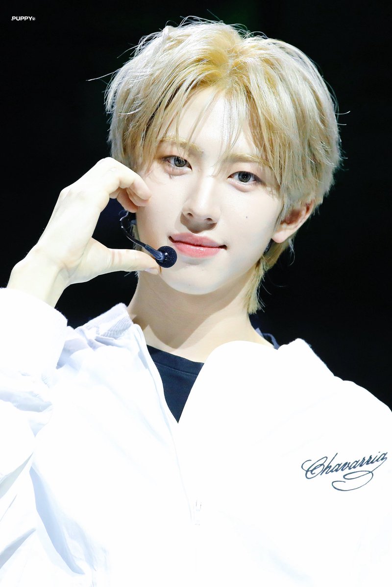 𝙋𝙪𝙥𝙥𝙮.ᐟ tweet media