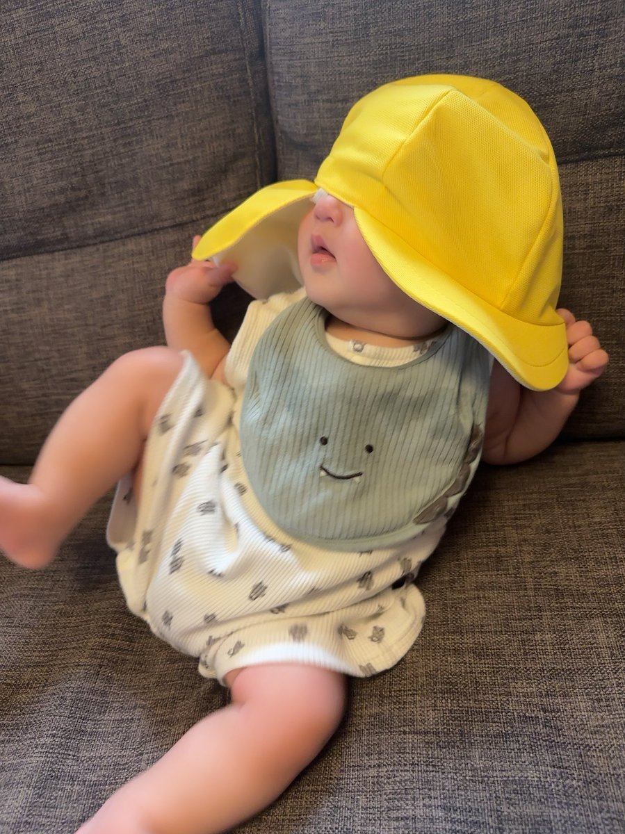 しなもん tweet media