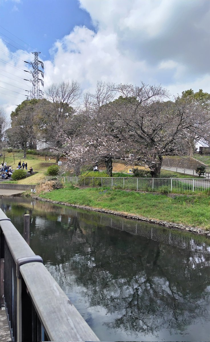 メロンソーダ高場🍈 tweet media