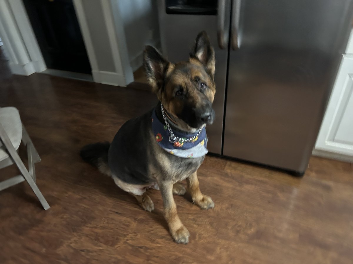 Megan Fox tweet media