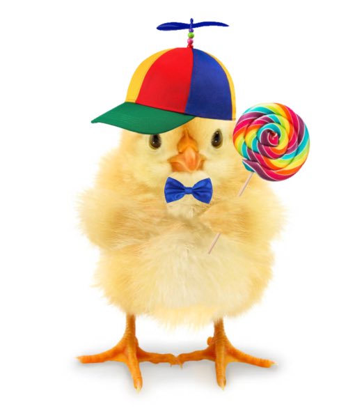chicken boy 🐓 tweet media