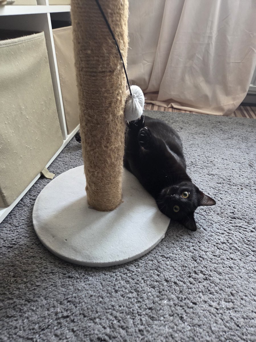 Suzan (met een Z zonder NE) tweet media