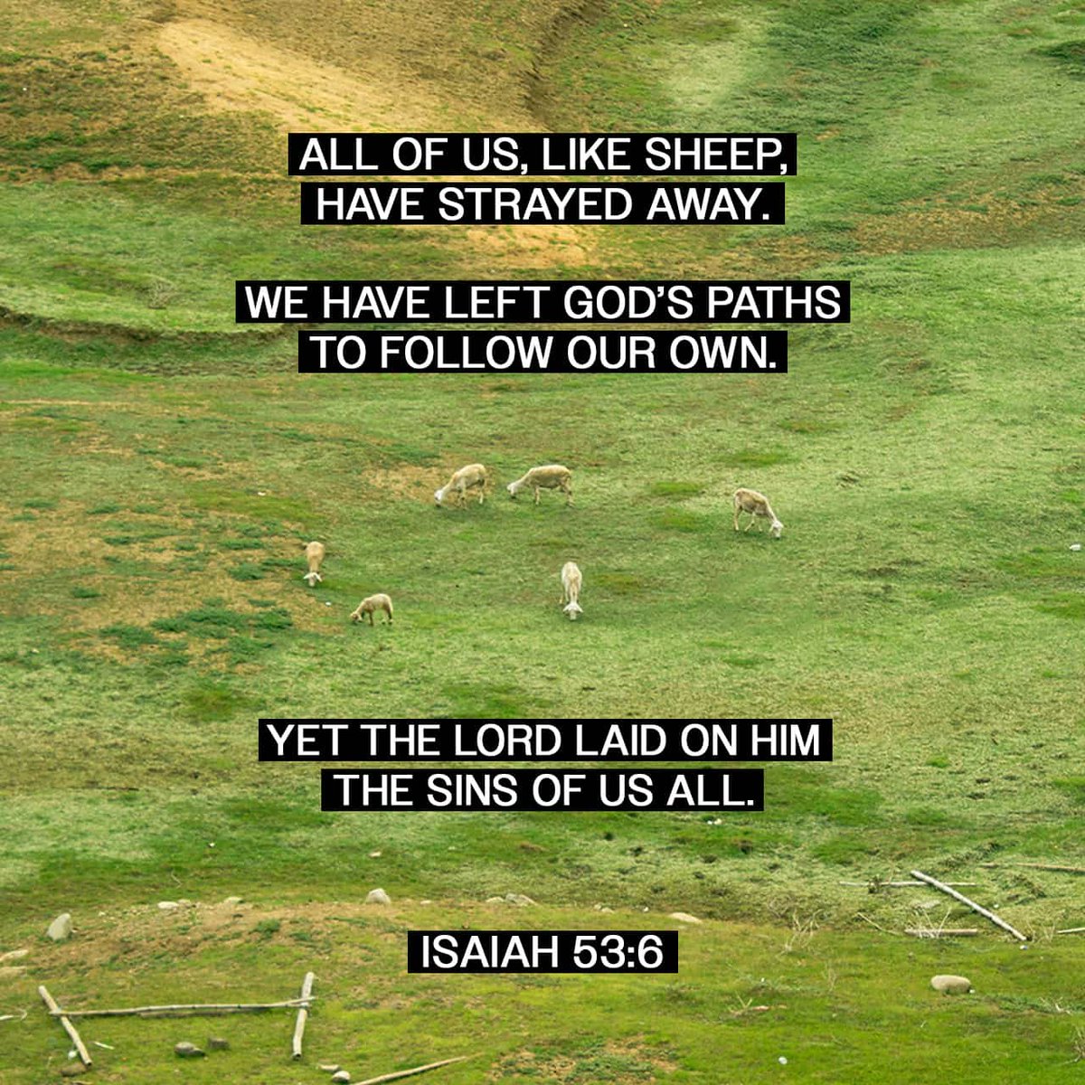 YouVersion Bible App tweet media