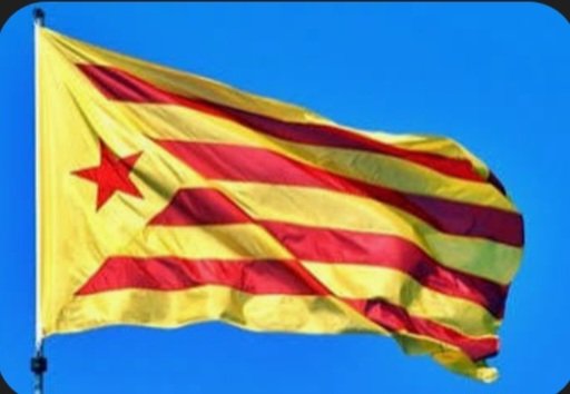 Vicent Pallardó tweet media