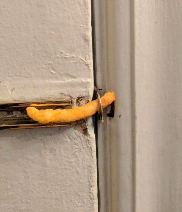 💜﹕𐔌・thals 〃・꒱ // yuri of shtwt tweet media