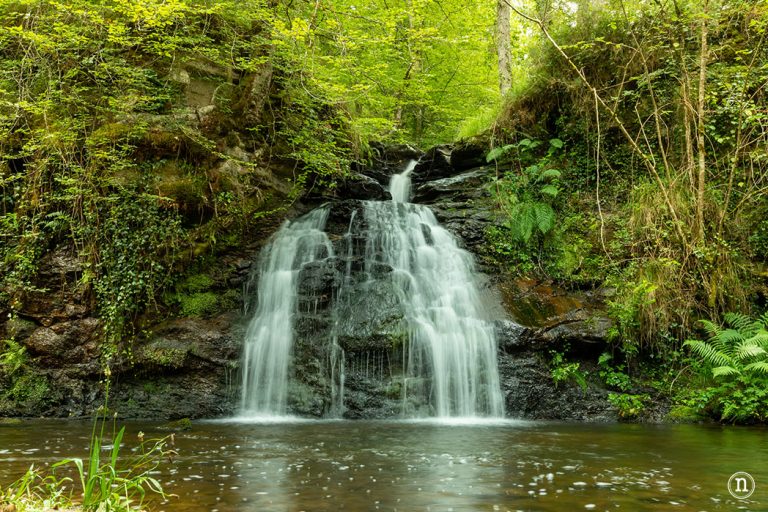 Nomadas Ocasionales tweet media