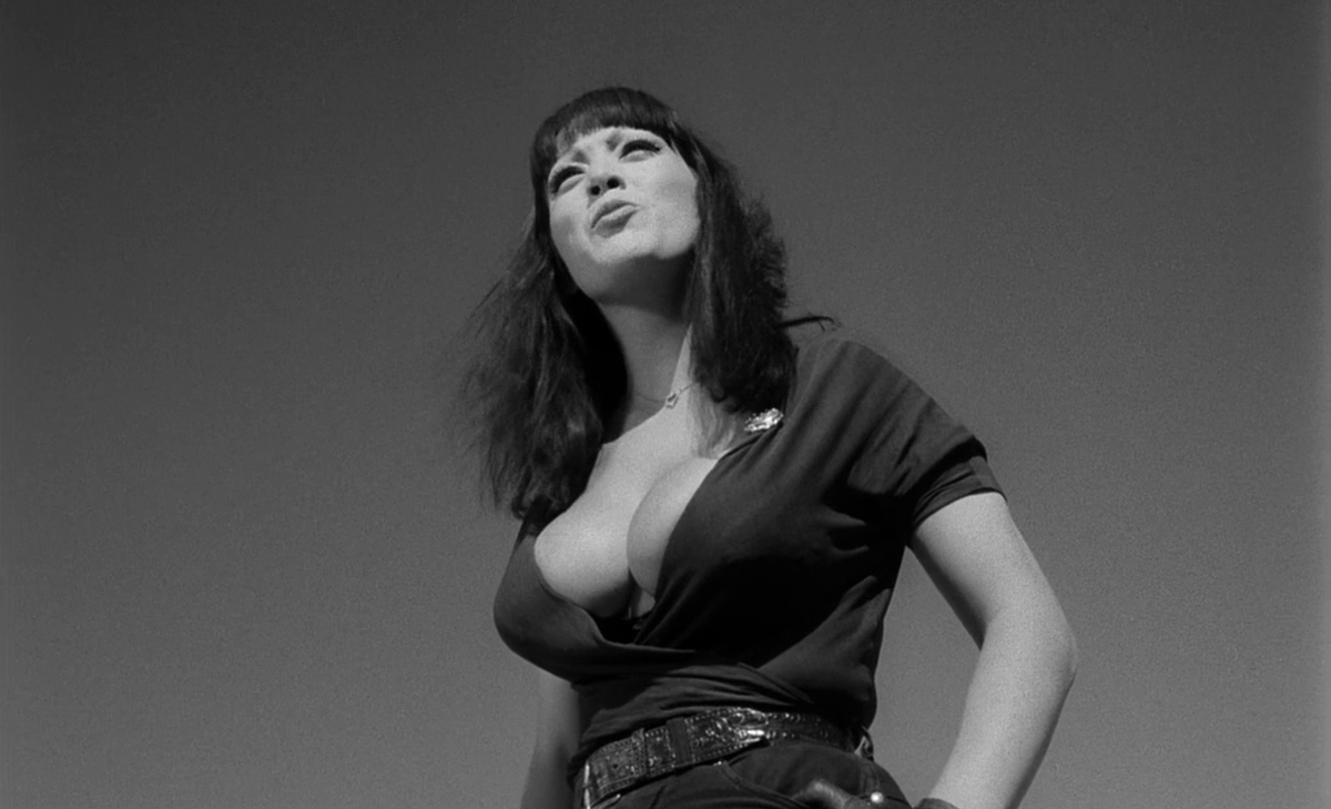 CinemaCrimes's tweet photo. FASTER, PUSSYCAT! KILL! KILL!
Russ Meyer | 1965 https://t.co/OYRrBFerBR