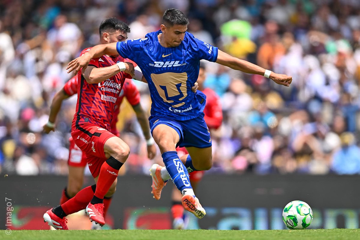 Andres M Novelo Mena tweet media