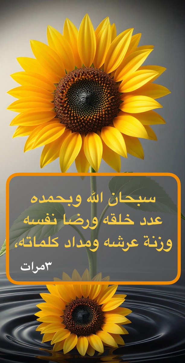 نوال البشري 🇸🇦🌴 tweet media